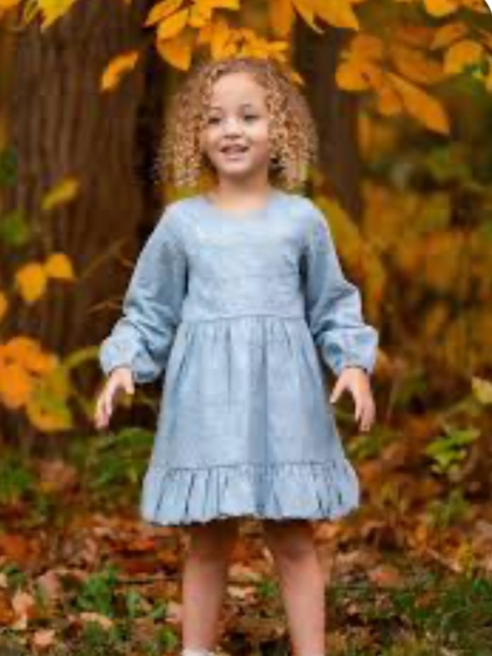 MABEL & HONEY Darling Blue Embroidered Dress, Floral, Size 4